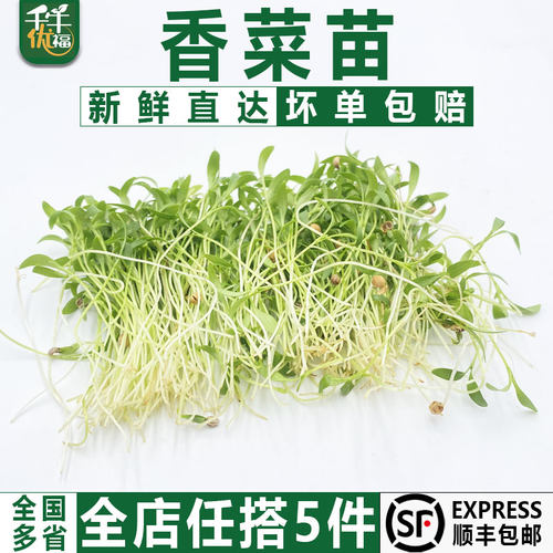 千牛优福摆盘装饰花草