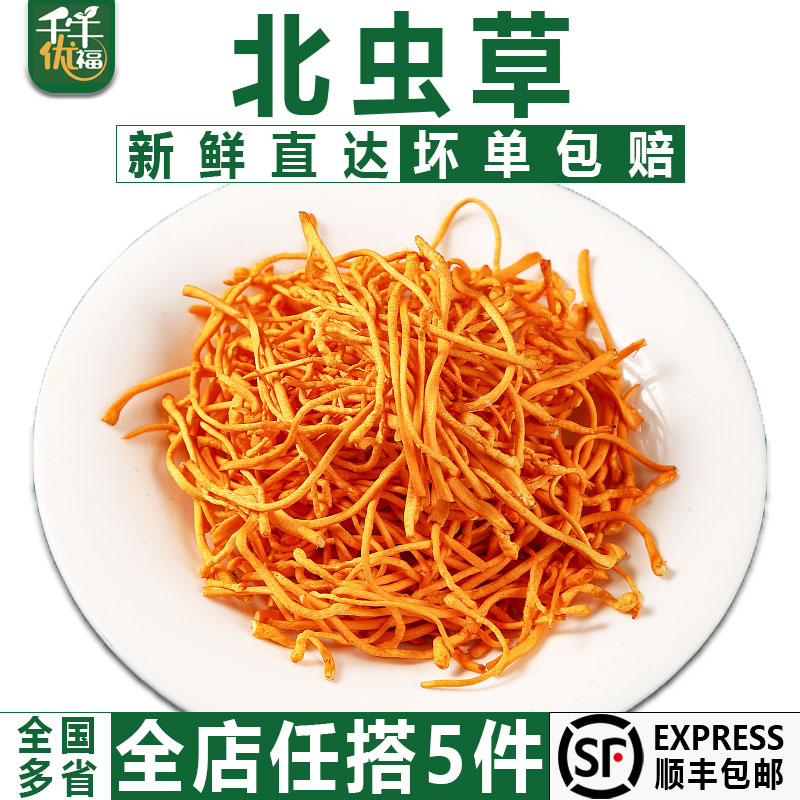 【千牛优福】新鲜北虫草500g孢子头汤料煲汤料虫草花 5件顺丰包邮