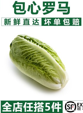 【千牛优福】包心罗马生菜500g 罗纹凯撒生菜 黄心罗马嫩罗马生菜