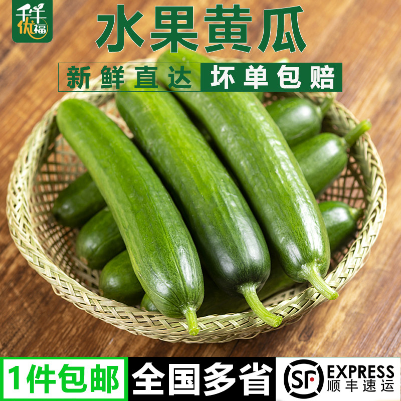 水果黄瓜1-5斤荷兰小黄瓜无刺短黄瓜新鲜蔬菜沙拉食材,水产肉类/新鲜蔬果/熟食,其它,淘宝优惠券,粉丝福利购,淘宝优惠卷