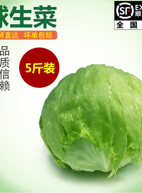 【千牛优福】球生菜3-5斤装汉堡生菜轻食沙拉煎饼食材新鲜蔬菜