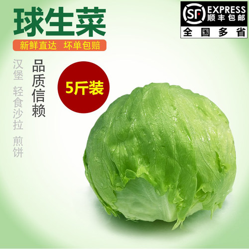 千牛优福球生菜轻食沙拉新鲜食材