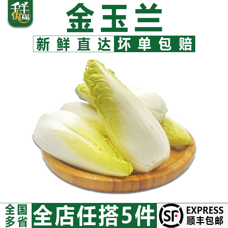 【千牛优福】金玉兰菜500g 金玉兰苦白菜欧洲菊苣比利时芽球菊苣,水产肉类/新鲜蔬果/熟食,其它,淘宝优惠券,粉丝福利购,淘宝优惠卷