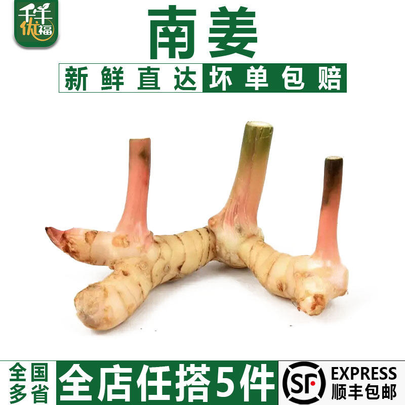 【千牛优福】南姜500g 新鲜芦苇姜 泰式冬阴功汤调料火锅底料生姜