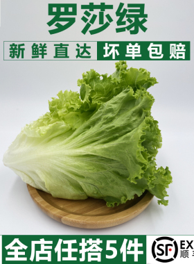 【千牛优福】罗莎绿500g花边生菜花叶新鲜蔬菜沙拉食材 5件包邮