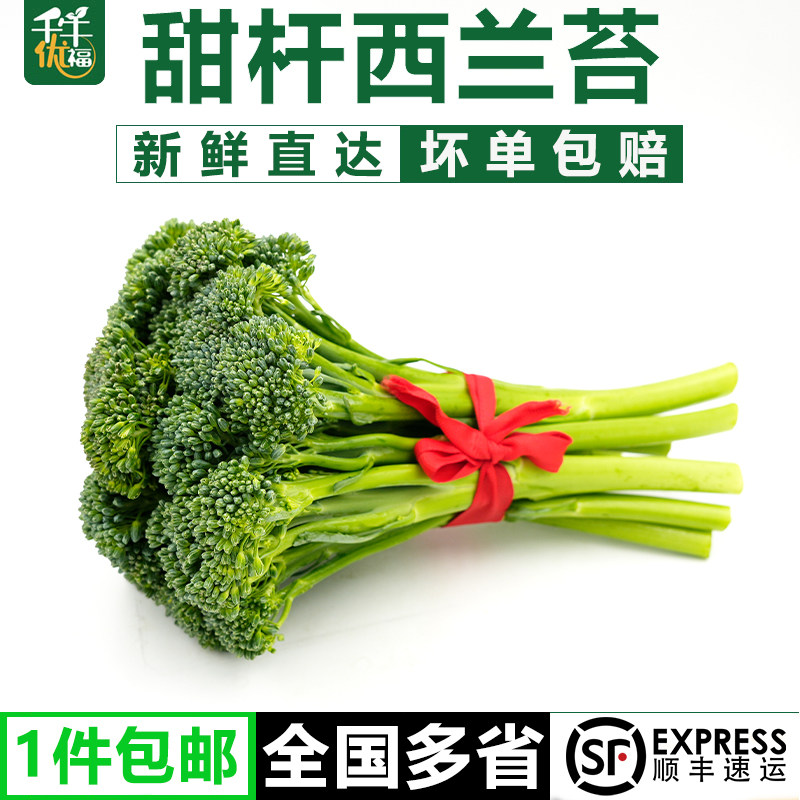 【千牛优福】宁夏甜杆西兰苔1-5斤 新鲜手指西兰花苔 芦笋青花苔