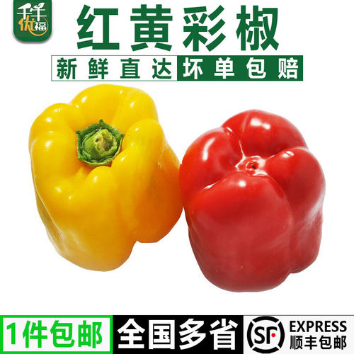 彩椒灯笼椒甜辣椒新鲜圆椒蔬菜