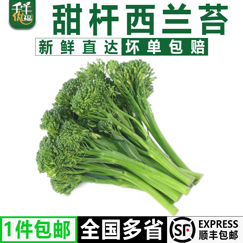 【千牛优福】宁夏甜杆西兰苔1-5斤 新鲜手指西兰花苔 芦笋青花苔