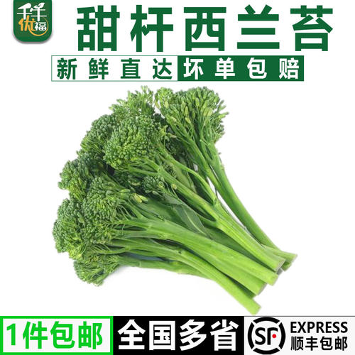 宁夏甜杆手指西兰苔顺丰包邮