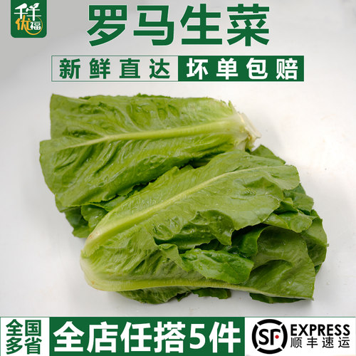 千牛优福散叶罗马绿色生菜沙拉
