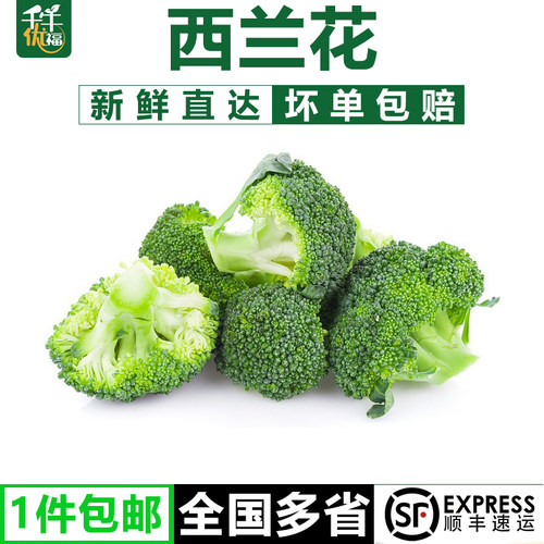 千牛优福西兰花绿花菜椰菜农家菜