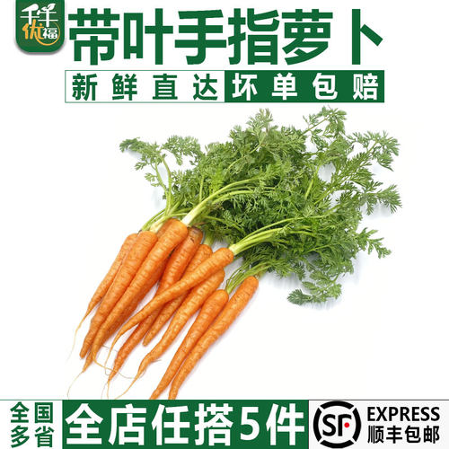 迷你手指萝卜带叶新鲜蔬菜辅食