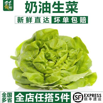 千牛优福奶油生菜沙拉食材