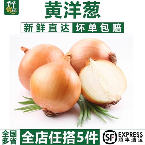 千牛优福蔬菜黄洋葱农家菜新鲜菜