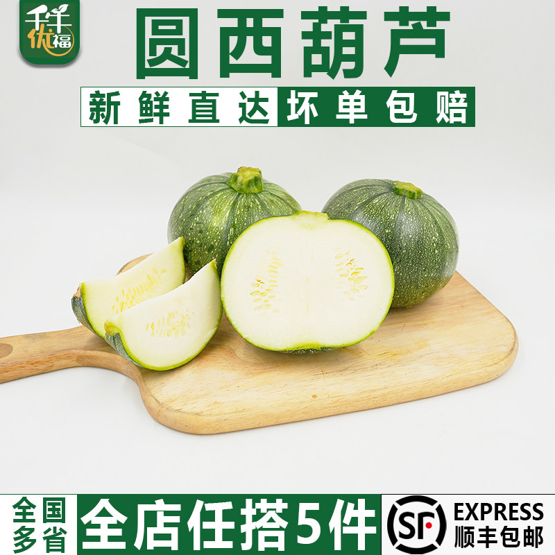 圆形西葫芦2斤约2个 新鲜蔬菜短蔓嫩南瓜倭瓜绿皮青瓜地雷瓜素瓜