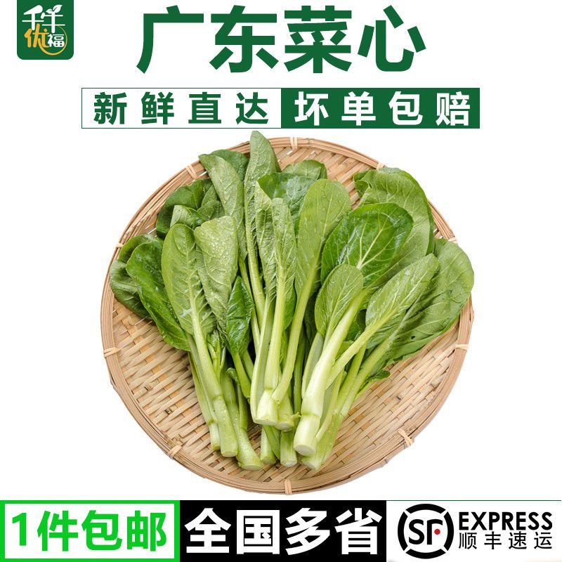 【千牛优福】广东菜心1-5斤农家自种甜菜心菜薹广东菜心当季蔬菜