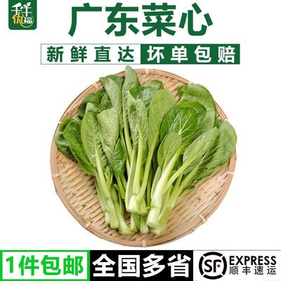 千牛优福广东菜心农家自种甜菜心