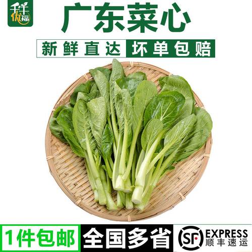 广东菜心1-5斤农家自种甜菜心