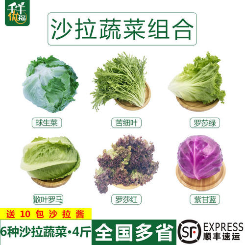 新鲜生菜组合斤装红叶6种沙拉