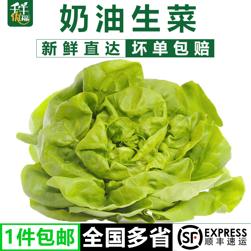 千牛优福奶油生菜沙拉食材