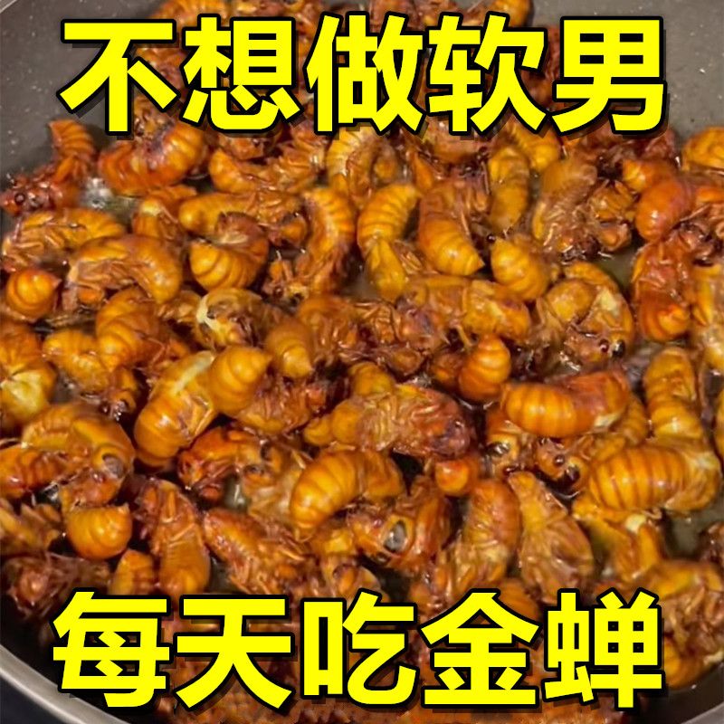 正宗河南特产油炸金蝉50只爬叉知了猴结了龟香酥可口即食解馋下酒