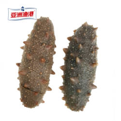 亚洲渔港 鲜食即食海参500g/袋(9-11头) 开袋即食大连海刺参