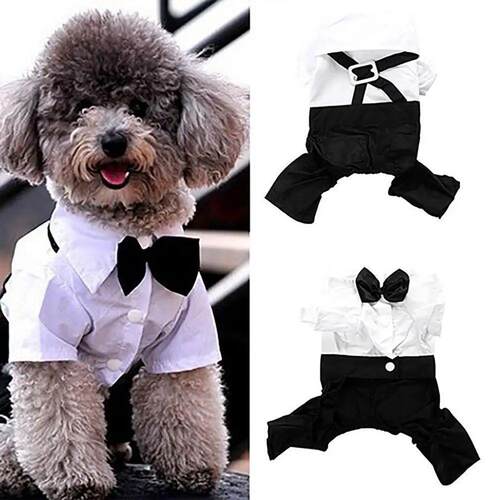 Dog Bow Tie Suit Wedding photo Fake two-piece shirt suit Ted