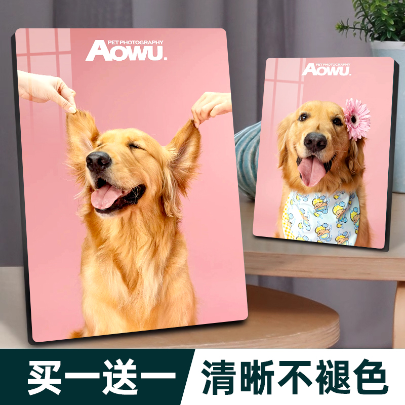 宠物相框摆台洗照片做成框
