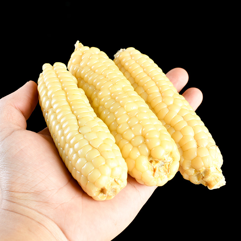 云南西双版纳拇指玉米新鲜香甜软糯小手指糯玉米即食真空装包代餐
