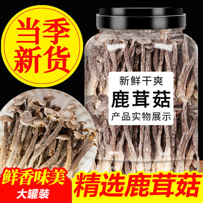 鹿茸菇干货500g包邮新鲜脆脆姑营养菌菇煲汤香菇类特级野生菌蘑菇