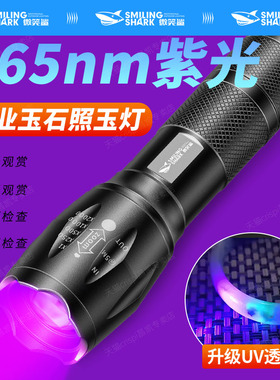 超强365纳米紫光灯鉴定专用鉴别翡翠专业验钞灯玉石紫外线手电筒