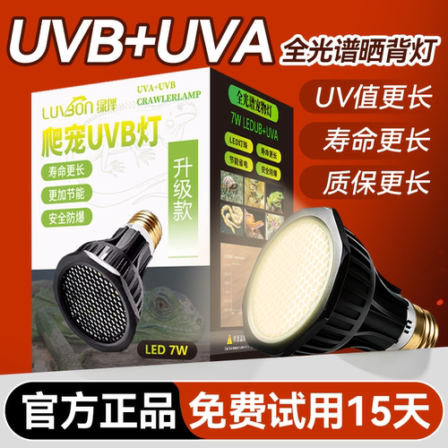 高UV值全光谱晒背补钙