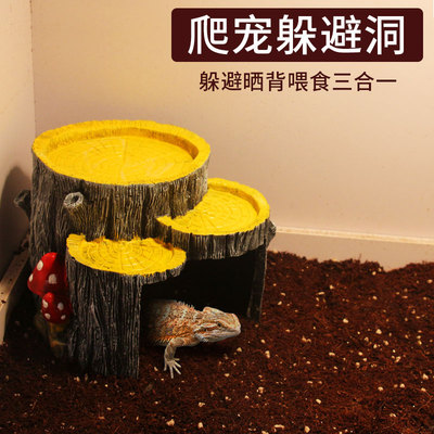 乌龟爬宠躲避洞仿树洞设计