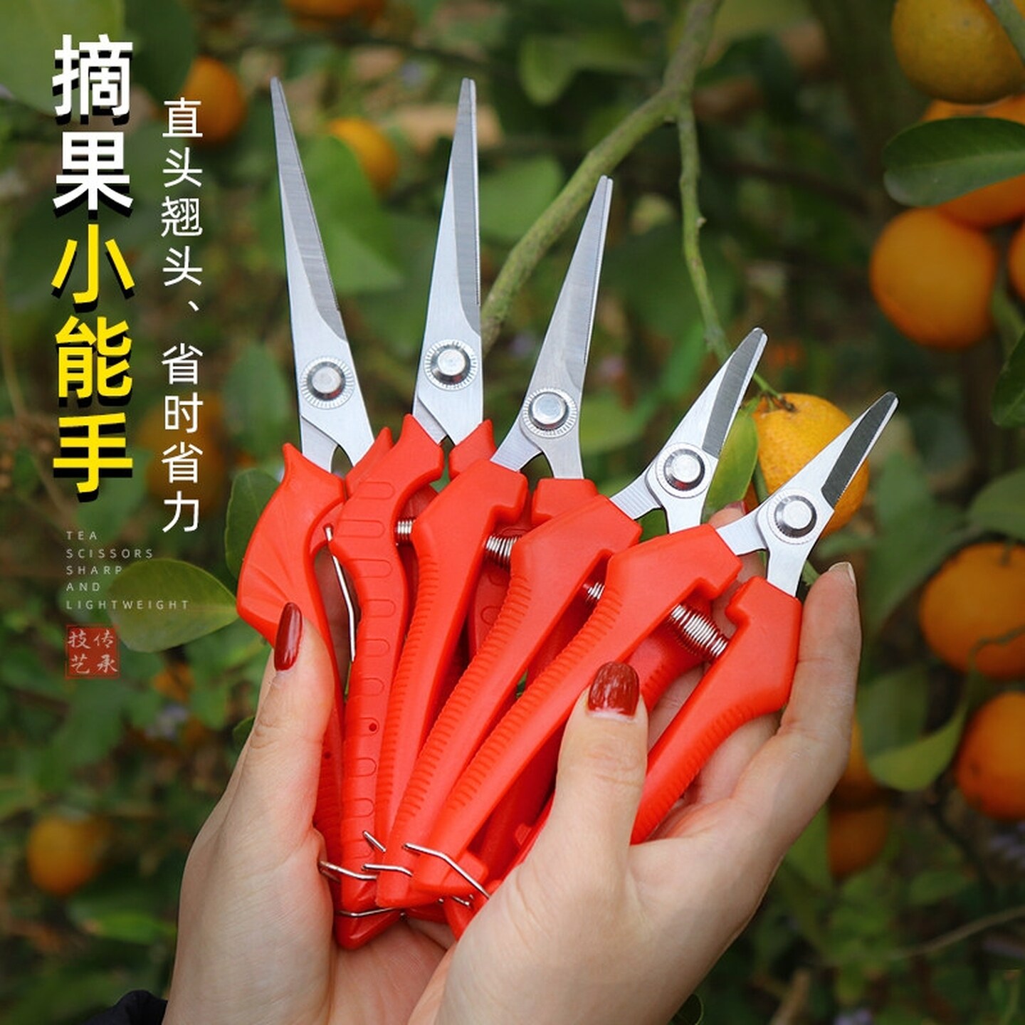 采果剪花椒葡萄采摘剪刀花枝剪水果蔬菜采摘园艺剪刀疏果剪修枝剪