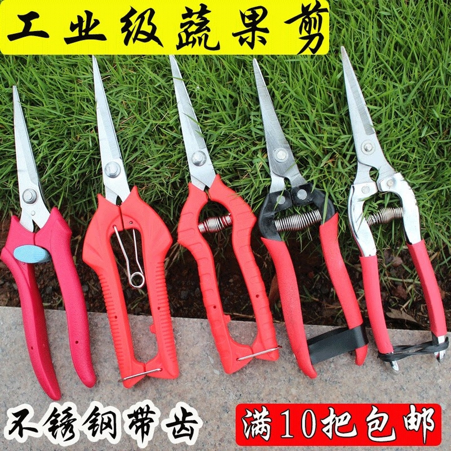 摘果剪采摘花椒剪子修花枝摘果神器修剪葡萄水果专用蔬果剪刀工具