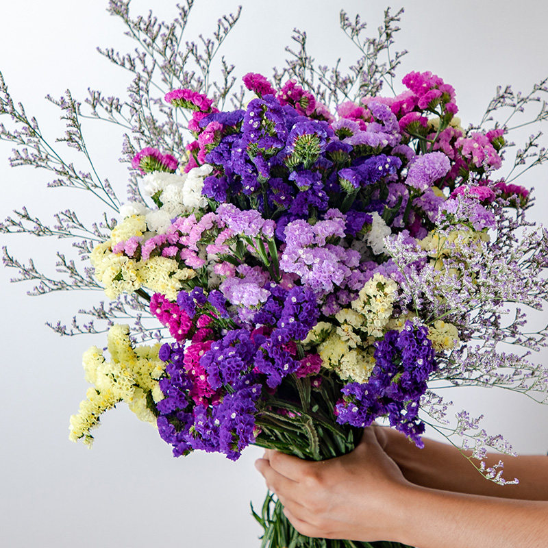 满天星勿忘我花束干花客厅礼物天然花摆件水晶花瓶花束鲜花装饰花 升郦精挑收集城