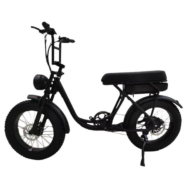 电动自行车16寸双电机助力电动自行车山地电动车变速电动助力车