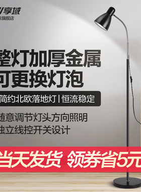 享域 落地灯LED护眼轻奢北欧ins风客厅卧室书房钓鱼立式台灯插电