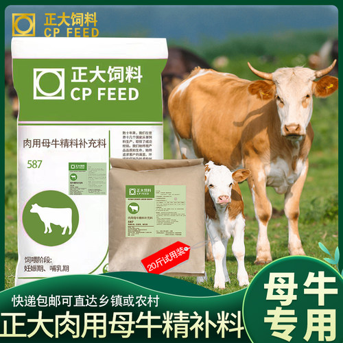 正大587母牛妊娠期繁殖期精补料全价料配合补充饲料厂家批发包邮
