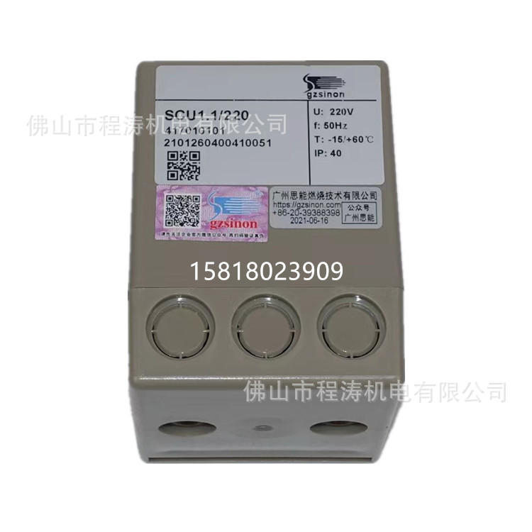 施能SINON火焰检测器 火焰探测器 火焰放大器SCU1.1/220   IEW15