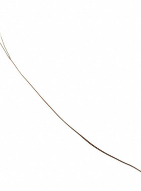 SC30F103AN | SC30F103V | SC30F103VN