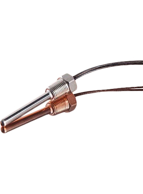 PANW 103395 | PANW103395-395 | PASCO2V01BUMA1