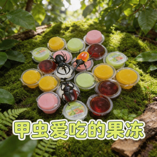 甲虫专用果冻独角仙锹甲昆虫食物兜虫金龟子毛象成虫饲料零食