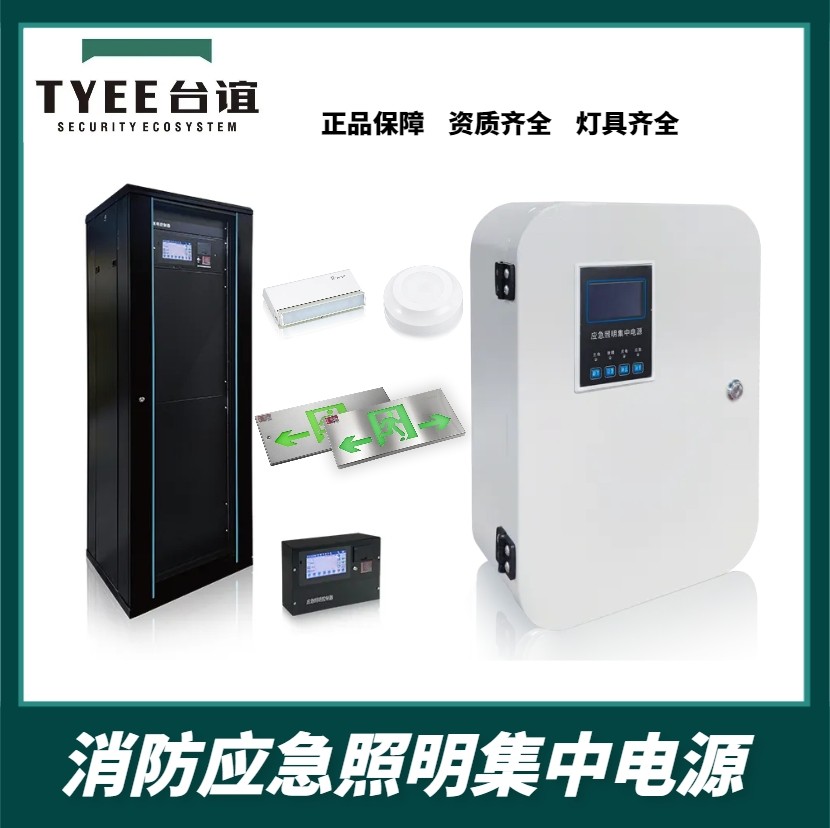 浙江台谊A型应急照明集中电源36V应急照明疏散指示牌应急配电箱,五金/工具,单相应急电源,淘宝优惠券,粉丝福利购,淘宝优惠卷