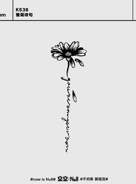 空空NULL 雏菊诗句 草本防水持久男女保持久高级花朵时尚纹身贴