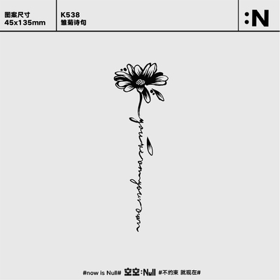 空空NULL 雏菊诗句 草本防水持久男女保持久高级花朵时尚纹身贴