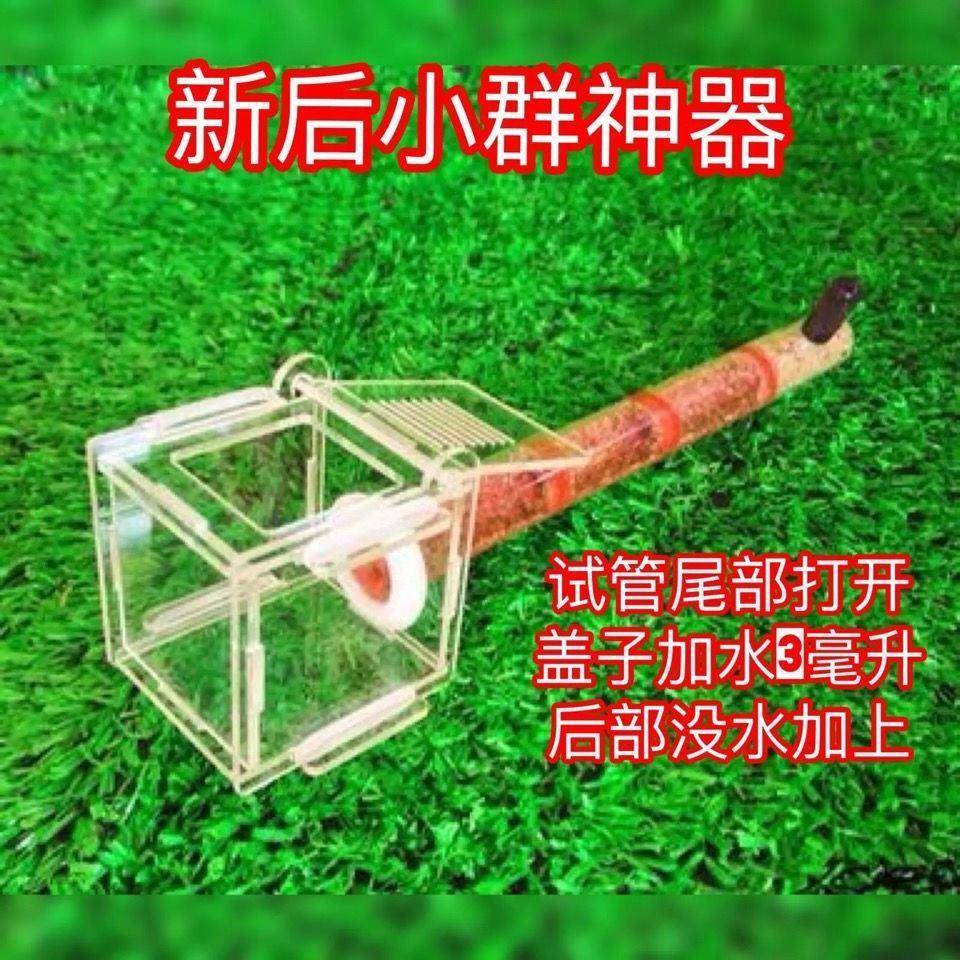试管巢蚁巢单蚂蚁窝巢蚂蚁工坊别墅亚克力混泥土i