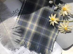 不二春渡【一零一乐章】意向金征集秋季制服原创百褶裙黑格女裙子