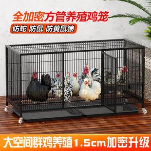 鸡笼子家用室外大号养鸡专用笼户外走地鸡鸭子养殖笼防黄鼠狼加厚