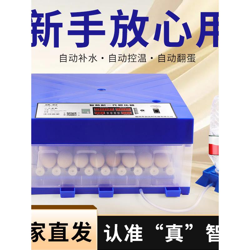 孵化器厂家直销鸡鸭鹅鸽子芦丁鸡全自动家用智能控温便携孵蛋箱